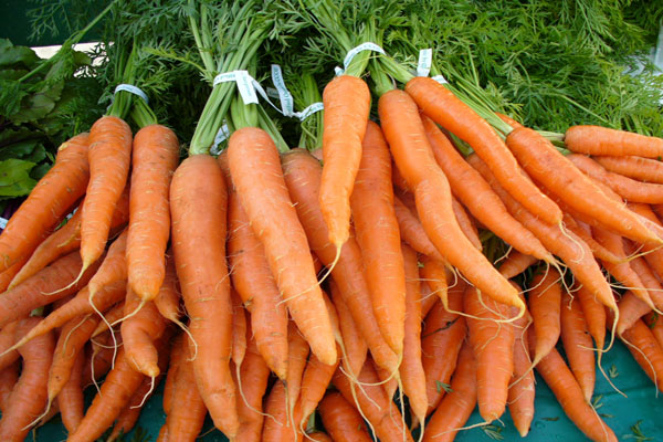 Cà rốt chứa nhiều beta-coraten giúp chuyển hóa thành vitamin A